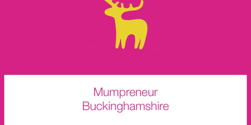 Splended Elk case study