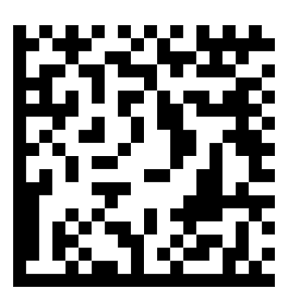 GS1 DataMatrix